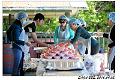 2016BBQ070