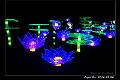 light2016s009
