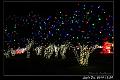 light2016s014