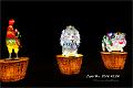 light2016s021