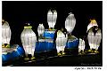 light2016s029