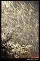 2017Snow004