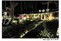 2017Xmas033