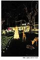 2017Xmas034
