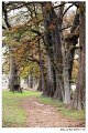 2018FallColor005s