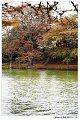 2018FallColor006s