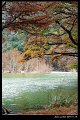 2018FallColor015s