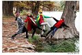 2018FallColor018s