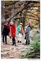 2018FallColor019s