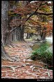 2018FallColor028s