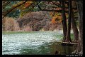 2018FallColor029s