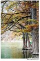 2018FallColor048s