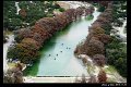 2018FallColor058s