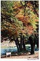 2018FallColor069s