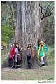 2018FallColor079s