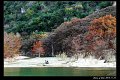 2018FallColor094s