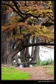 2018FallColor099s