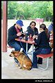 2018Picnic003s