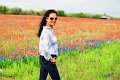 2019Flowers011s