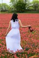 2019Flowers018s