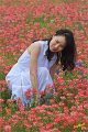 2019Flowers019s