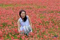 2019Flowers026s