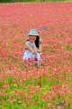 2019Flowers032s