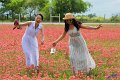 2019Flowers040s