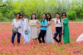 2019Flowers044s