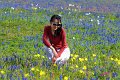 2019Flowers079s