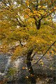 2021Autumn001s