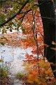 2021Autumn003s
