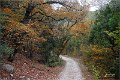 2021Autumn007s
