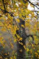 2021Autumn010s
