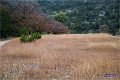 2021Autumn023s
