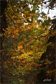 2021Autumn034s