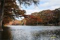 2021AutumnB001s