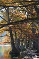 2021AutumnB013s