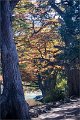 2021AutumnB018s