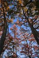 2021AutumnB025s