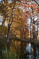 2021AutumnB026s