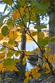 2021AutumnB029s