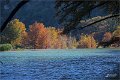 2021AutumnB048s