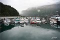AlaskaTrip011