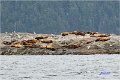 AlaskaTrip111