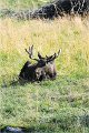 AlaskaTrip115