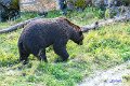 AlaskaTrip119