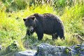 AlaskaTrip121