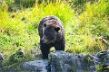 AlaskaTrip122