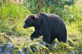 AlaskaTrip123